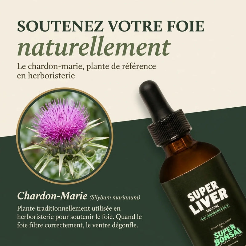 Super Liver — Cure Détox Foie & Ventre Plat