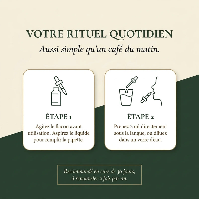 Super Liver — Cure Détox Foie & Ventre Plat